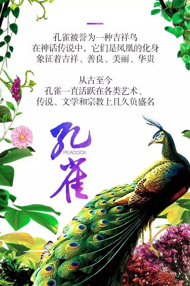 【915-918邵陽秋季車展】鳳臨枝頭，雀雀雀雀雀實驚艷！