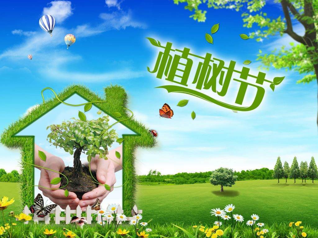 北京現(xiàn)代“智現(xiàn)代，植未來”，你我共建森林邵陽
