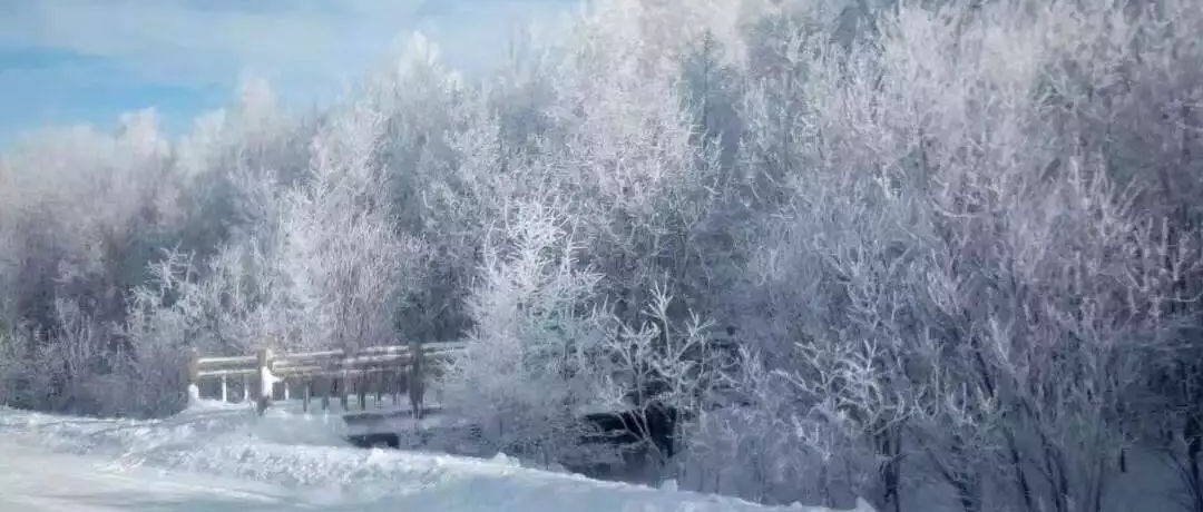 奕行記|奕路向北，駛向雪國阿爾山