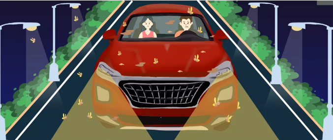 安全清除車身飛蟲，僅需十分鐘